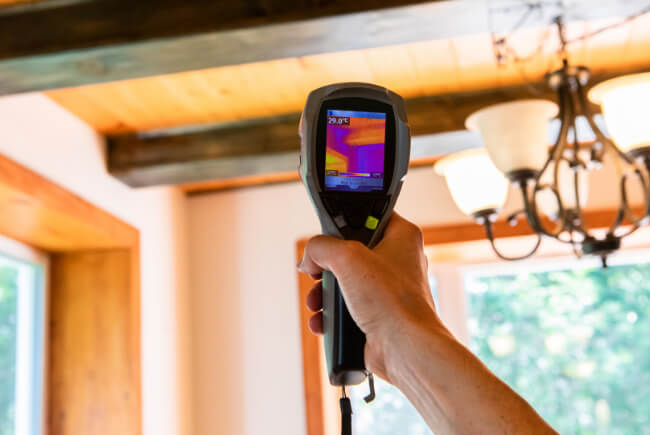 Water Leakage & Dampness Inspection